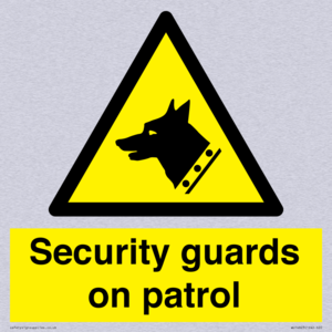 Security guards on patrol
